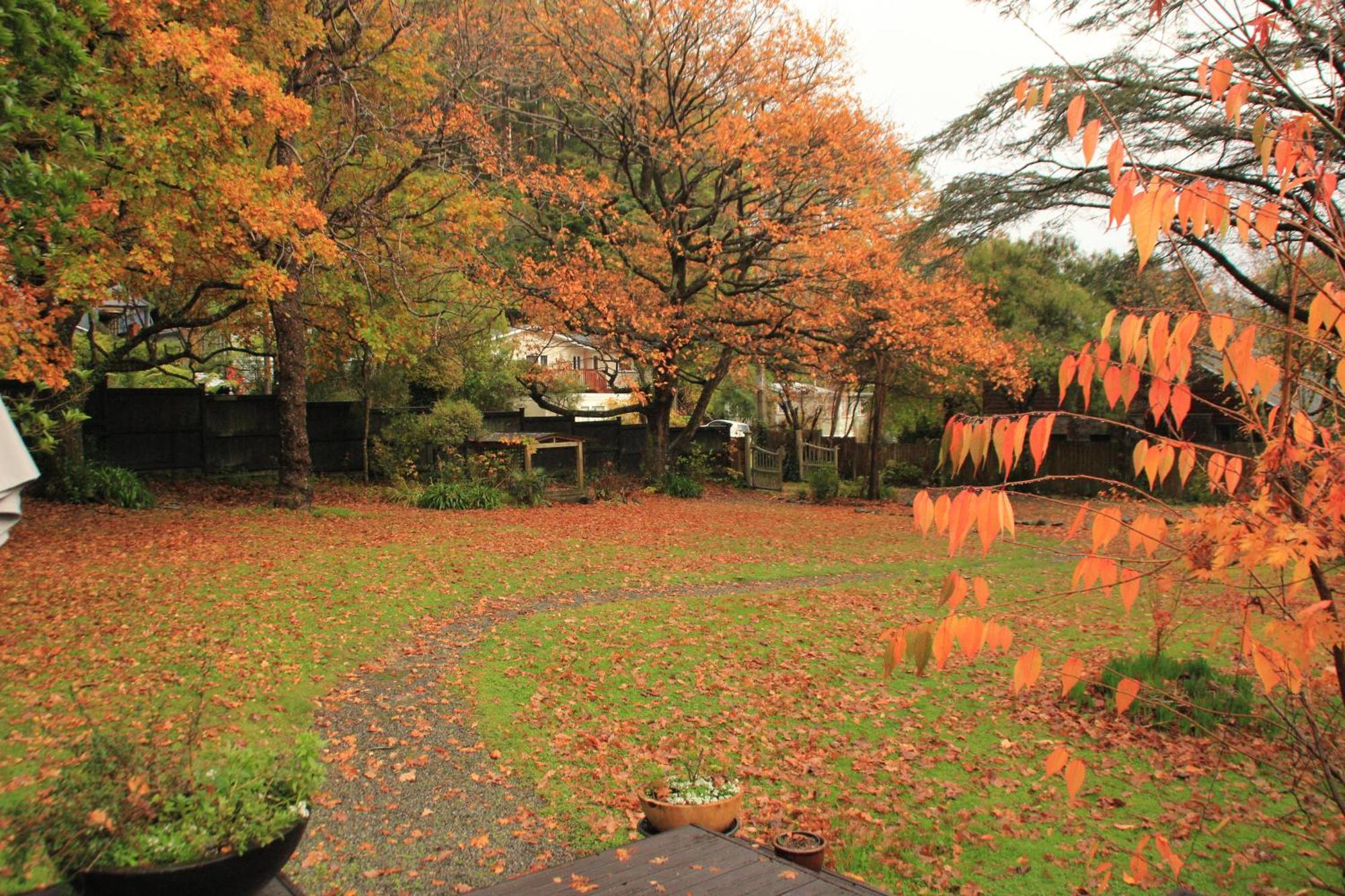 Pinehaven Cottage Upper Hutt Bagian luar foto